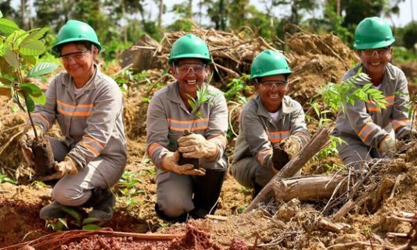 Alcoa fecha parceria com a Universidade de São Paulo para revisão do Plano de Ação para Biodiversidade de Juruti